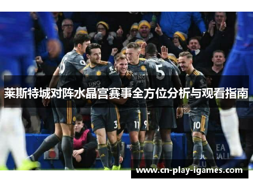 莱斯特城对阵水晶宫赛事全方位分析与观看指南