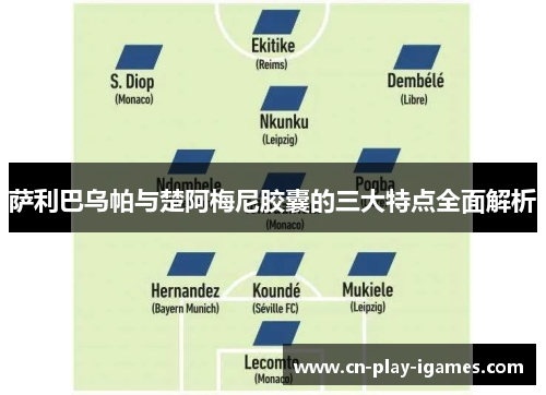 萨利巴乌帕与楚阿梅尼胶囊的三大特点全面解析 萨利巴乌帕与楚阿梅尼胶囊的三大特点全面解析